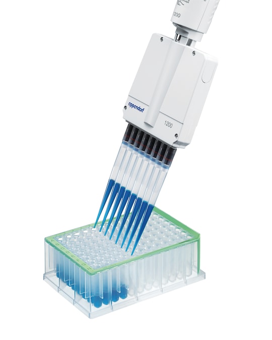 Sample being pipetted from elongated ep T.I.P.S.® to Eppendorf LoBind® deepwell plate