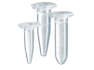 DNA LoBind® tubes - 0.5 mL, 1.5 mL, 2 mL and 5 mL with closed lid