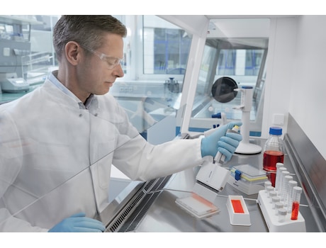 Eppendorf Research plus 24-channel pipette dispensing cell culture medium into a 384-well plate