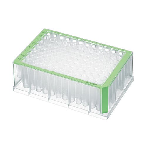 Deepwell plate 96x1000 green Deepwell plate 96x1000 green