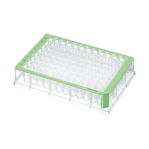 Deepwell plate 96x500 green Deepwell plate 96x500 green