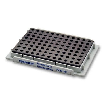 Thermoblock PCR96 plate