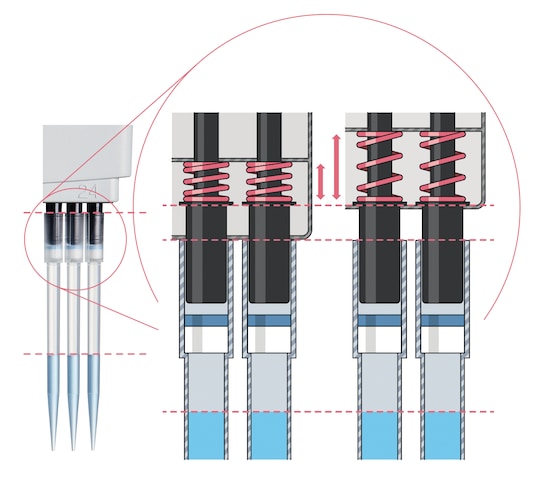 Many Eppendorf pipettes feature spring-loaded tip cones for easy tip attachment and ejection