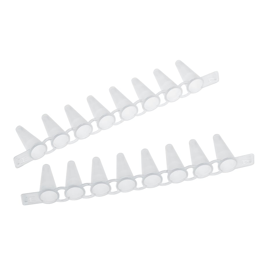 PCR Tube Strips 0.1 tube strips Image – PCR Tube Strips 0.1 tube strips