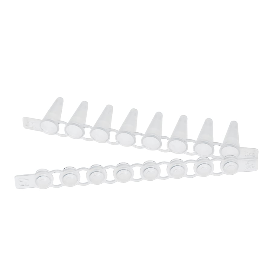 PCR Tube Strips 0.1 tube strip & domed cap strip PCR Tube Strips 0.1 mL tube strip & domed cap strip