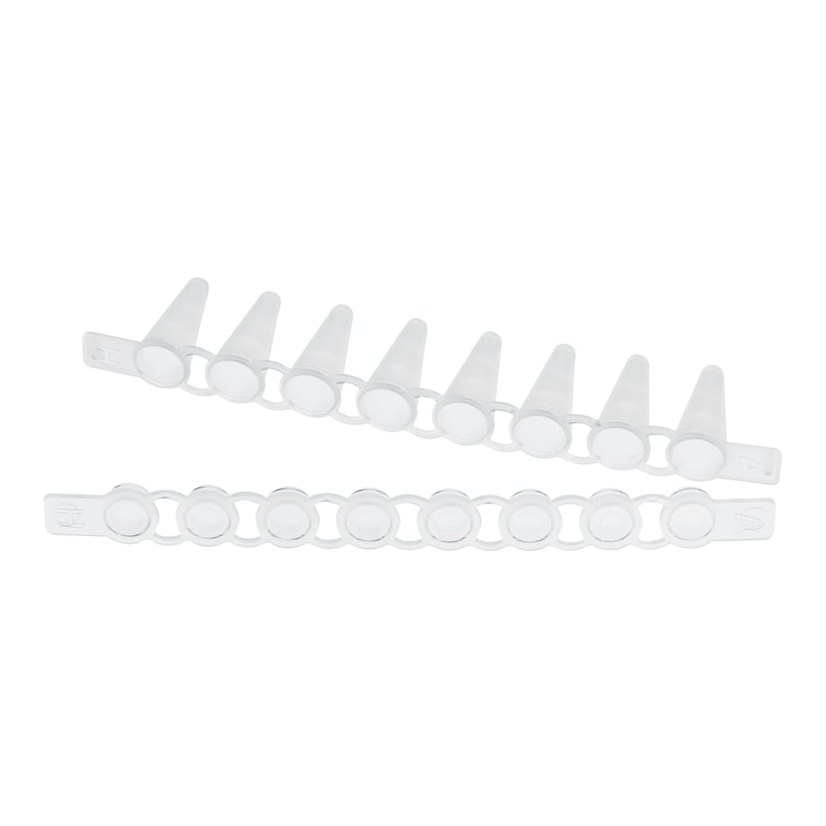 PCR Tube Strips 0.1 tube strip & flat caps PCR Tube Strips 0.1 mL tube strip & flat caps