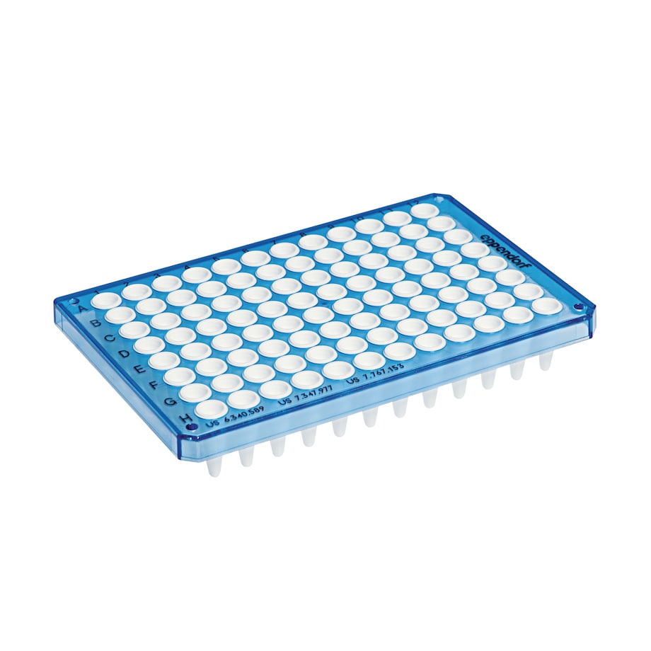 twin.tec PCR Plate blue 96 semi-skirted real-time twin.tec PCR Plate blue 96: semi-skirted, real-time