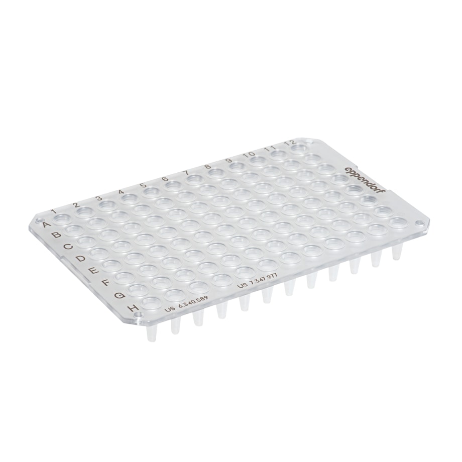 twin.tec PCR Plate clear 96 unskirted, 03 twin.tec PCR Plate 96: clear, unskirted (3)