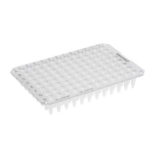 twin.tec PCR Plate 96: clear, unskirted (1)