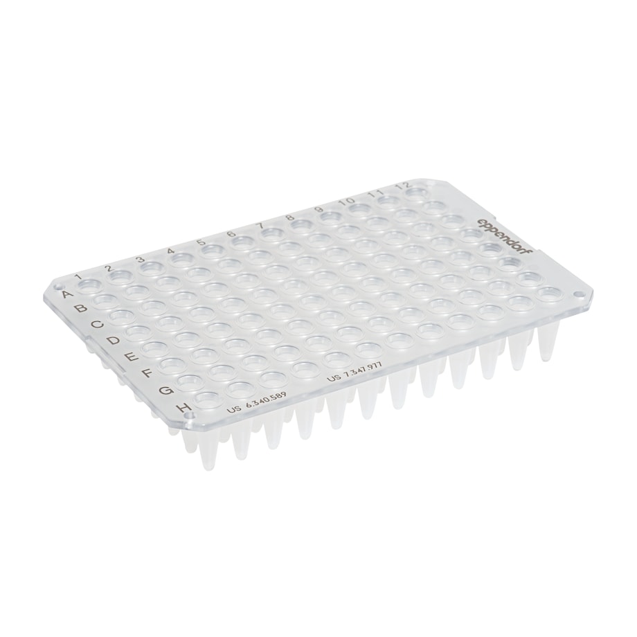 twin.tec PCR Plate clear 96 unskirted, 01 twin.tec PCR Plate 96: clear, unskirted (1)