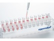 Tube rack filled with Eppendorf microtubes