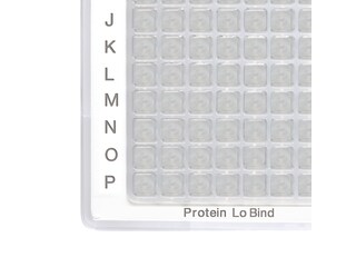 Partial view of Eppendorf LoBind® plate