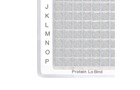 Protein LoBind Plates