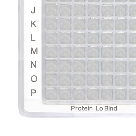 Partial view of Eppendorf LoBind® plate