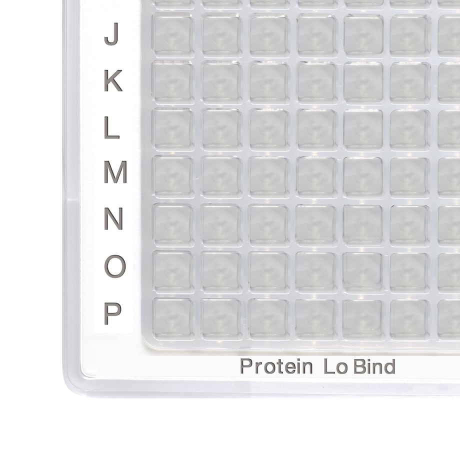 Teilansicht einer Eppendorf LoBind® Plate Teilansicht einer Eppendorf LoBind® Plate