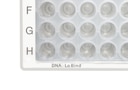 Kleiner Ausschnitt einer Eppendorf DNA LoBind<sup>&reg;</sup> Microplate