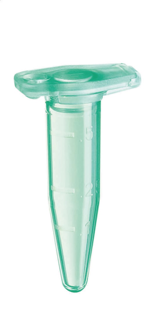 Safe-Lock Tubes 0.5 mL green, closed lid