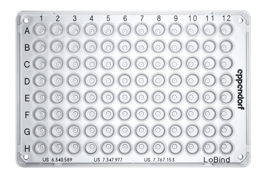 twin.tec PCR plates LoBind, semi-skirted, top view Twin.tec® PCR plates LoBind® for samples with low concentrations of DNA