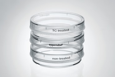 Eppendorf Cell Culture Dishes