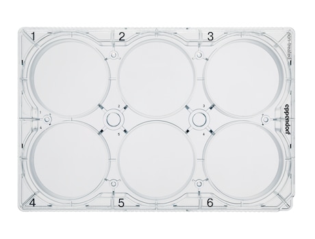 Eppendorf Cell Culture Plates