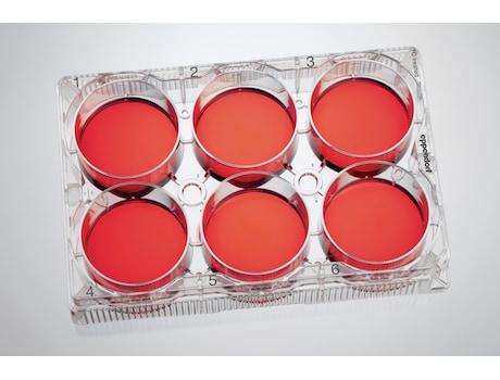 Eppendorf Cell Culture Plates