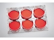 Eppendorf Cell Culture Plates