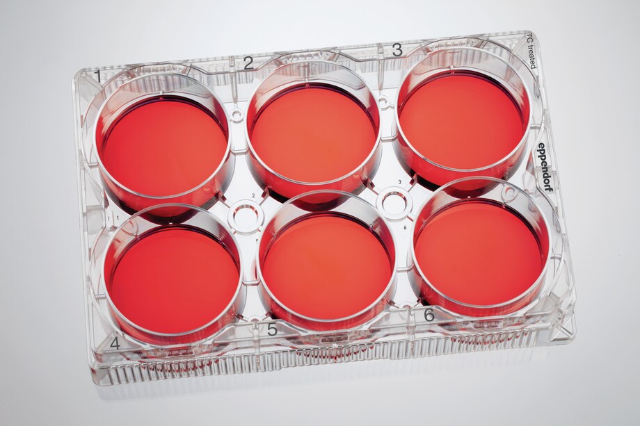 Eppendorf Cell Culture Plates Cell Culture Consumables, Cell Culture
