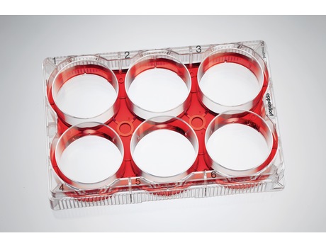 Eppendorf Cell Culture Plates