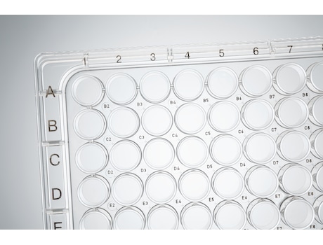 Eppendorf Cell Culture Plates