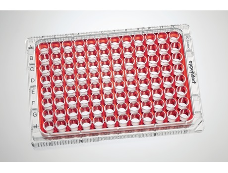 Eppendorf Cell Culture Plates