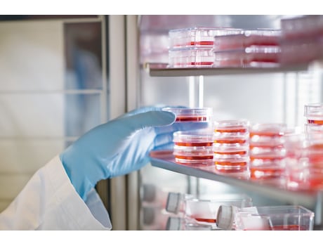 Eppendorf Cell Culture Dishes