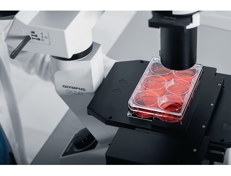 Eppendorf Cell Culture Plates