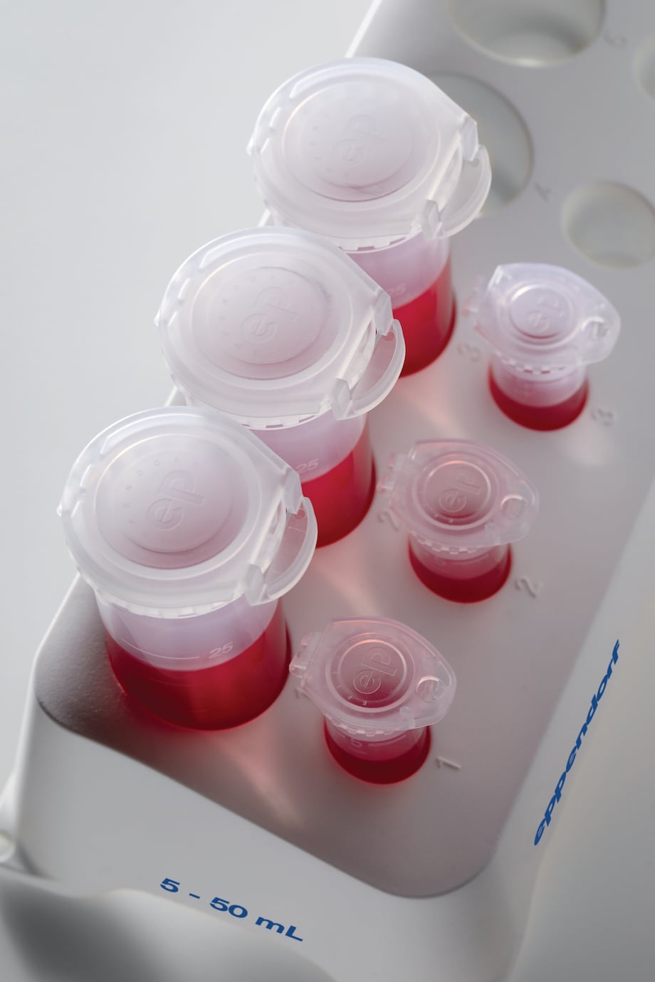 Tube Rack 5, 15, 25, 50mL top view, with medium Tube Rack 5, 15, 25, 50 mL top view, with medium