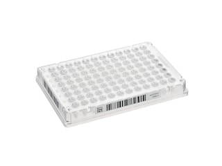 Barcoded Eppendorf twin.tec PCR plate 96 with SafeCode for high-throughput sample handling