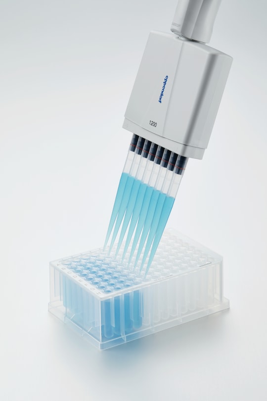 Eppendorf Research_REG_ plus multi-channel pipette with 8 tips used to fill a deepwell plate