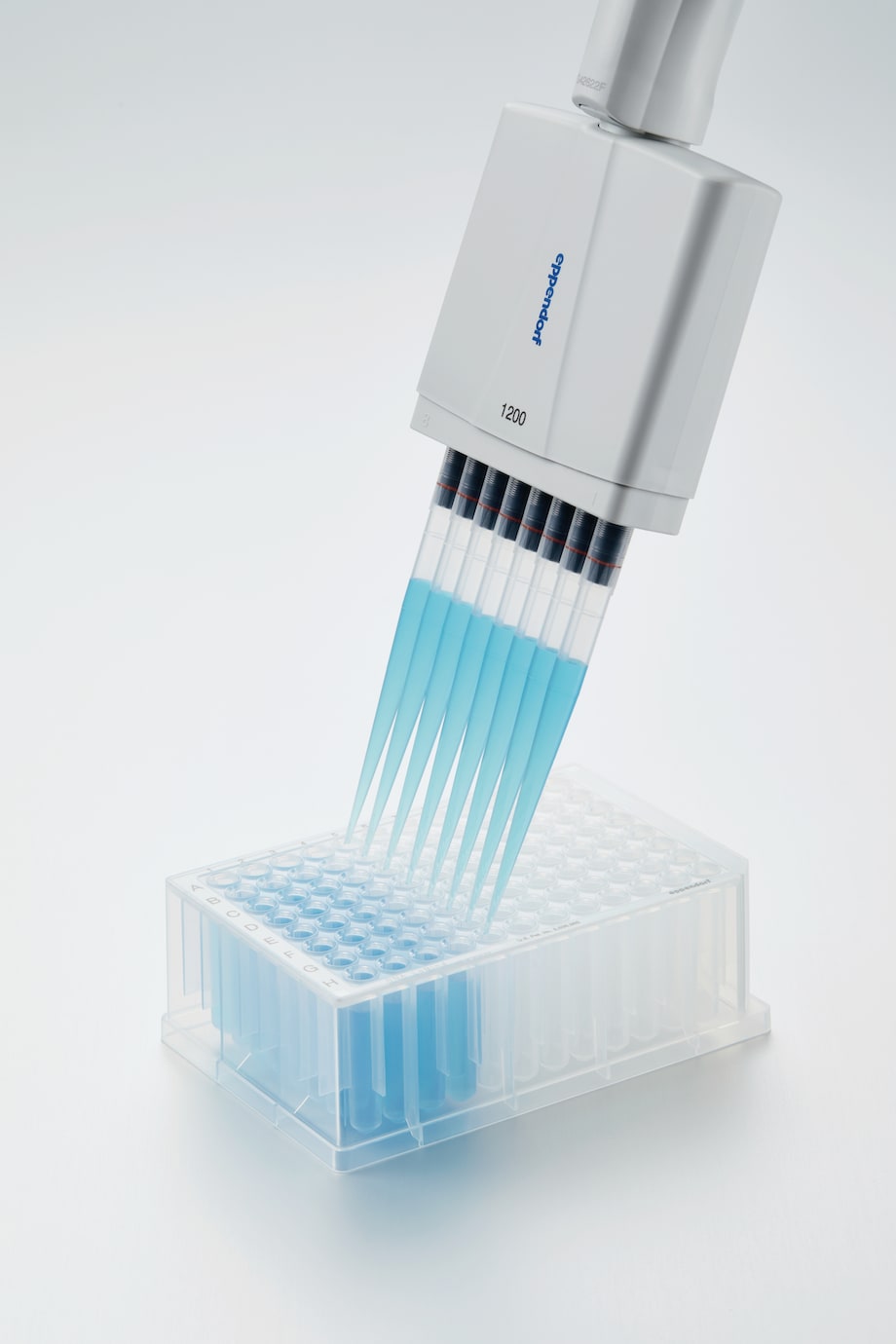 Eppendorf Research® plus multi-channel pipette with 8 tips used to fill a deepwell plate Eppendorf Research® plus multi-channel pipette with 8 tips used to fill a deepwell plate