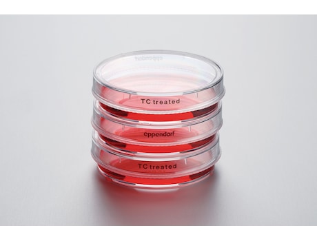 Eppendorf Cell Culture Dishes