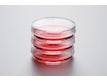 Eppendorf Cell Culture Dishes