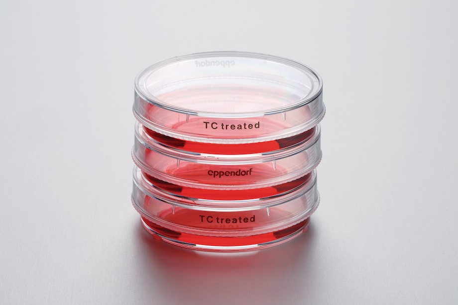 Eppendorf Cell Culture Dishes Cell Culture Consumables, Cell Culture