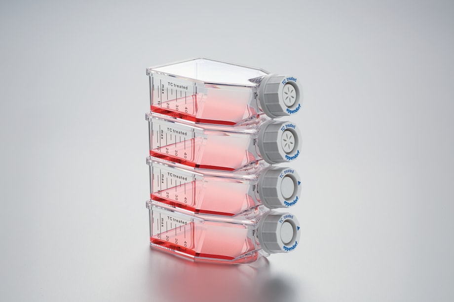 Eppendorf Cell Culture Flasks Cell Culture Consumables, Cell Culture and Imaging Consumables