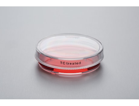 Eppendorf Cell Culture Dishes