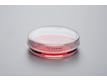 Eppendorf Cell Culture Dishes