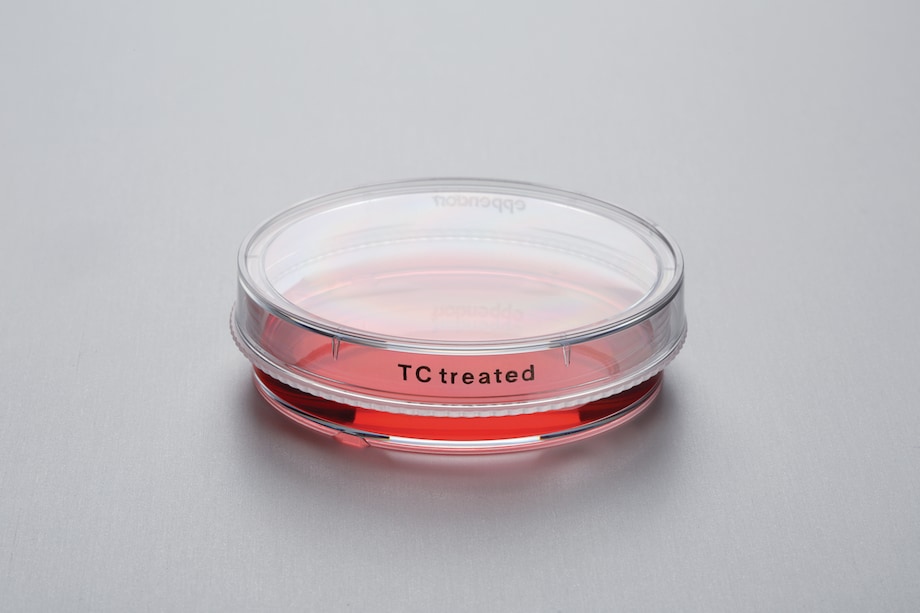 Eppendorf Cell Culture Dishes Cell Culture Consumables, Cell Culture