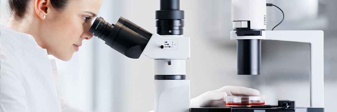 Dish woman with microscope A woman looks at a sample under the microscope in a cell culture dish filled with red liquid.