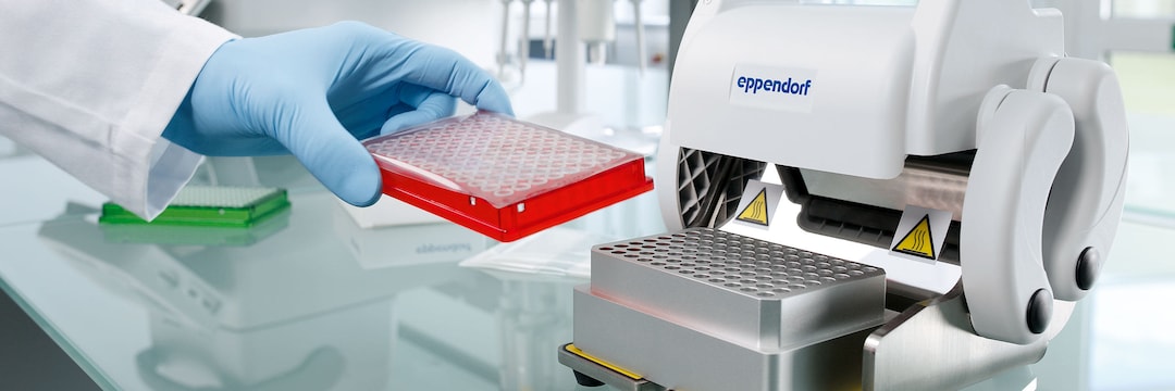 Close-up of a sealed PCR plate with samples in front of the block of an open HeatSealer