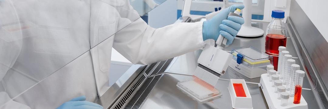 24 channel pipette Pipetting 384 well plate (IVD) Eppendorf Research plus 24-channel pipette dispensing cell culture medium into a 384-well plate