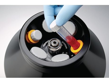 Eppendorf Conical Tubes 15 mL 和 50 mL