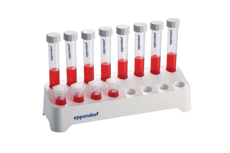 Conical tubes 15mL and microtubes 5 mL in rack Conical tubes 15mL and microtubes 5 mL in rack