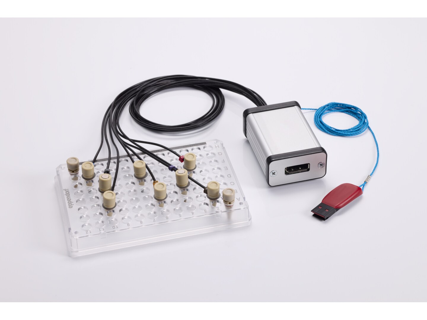 Temperature Verification Systems