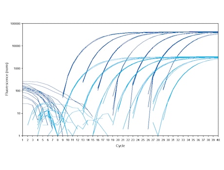 10-fold higher fluorescence measurement of twin.tec